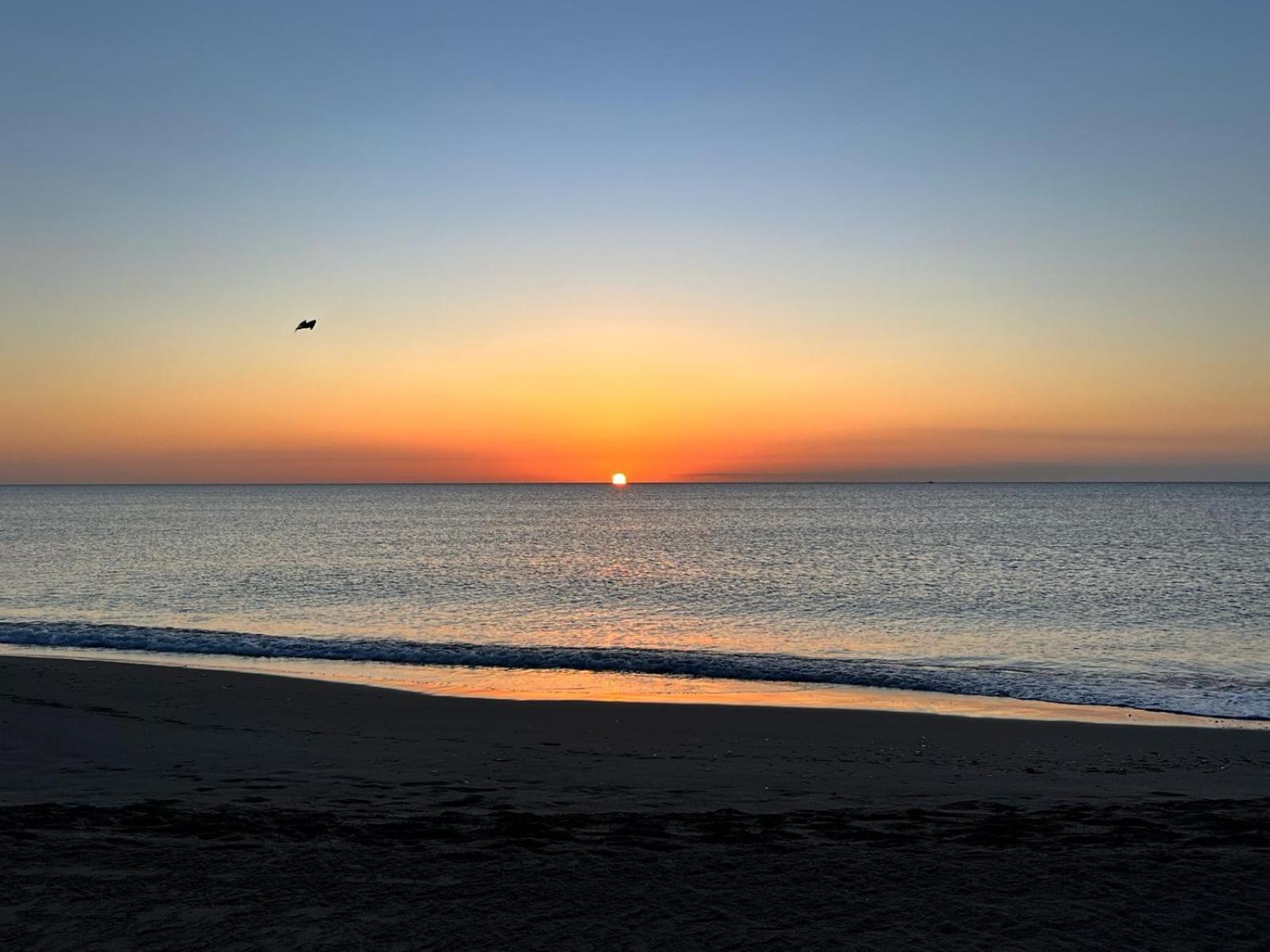 Urbanizacion Torremar Natura Vacacionesenvera.Com Eksteriør billede